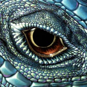 Jill Bauman — Art of the Mysterious & Fantastic