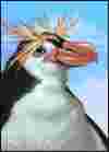 Royal Penguin