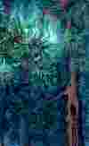 Freaky Forest
