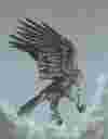 The Deathbird (Drawing)