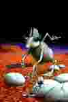 A Martian Ricorsco