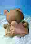 TeddyTale